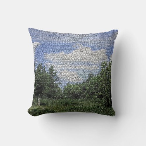 Tonto National Forest Photo Mosaic Landscape Throw Pillow