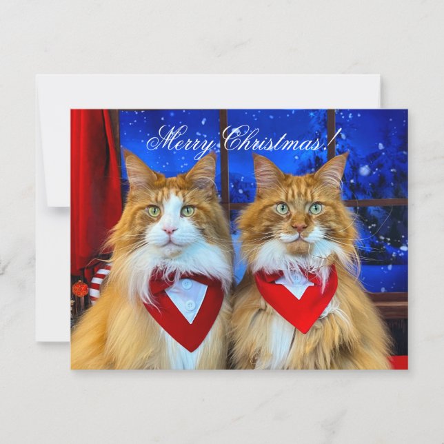 Tony and Teddy Christmas Card (Front)