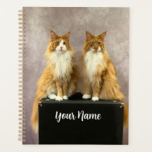 Tony and Teddy Standard Planner