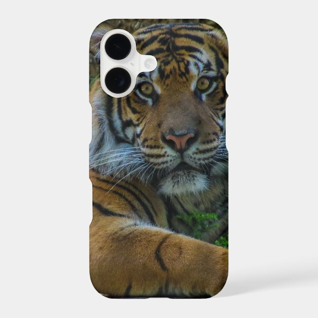 tony iphone case (Back)