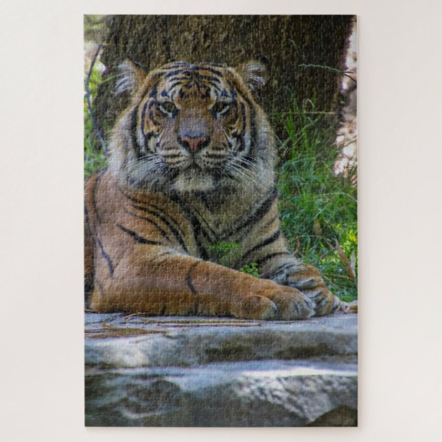 Tony Jigsaw Puzzle (Vertical)