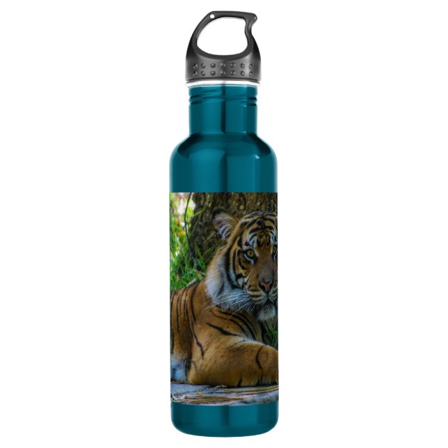 TONY STAINLESS STEEL WATER BOTTLE (Front)