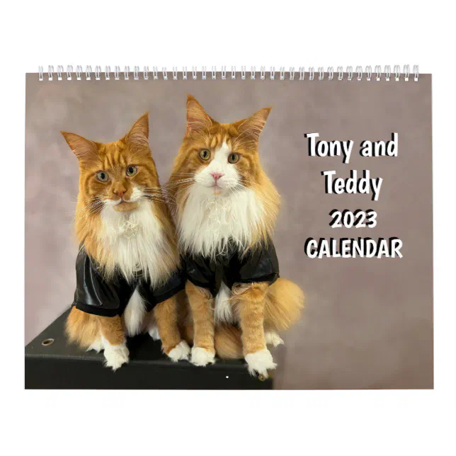 Tony Teddy Large 2023 Cat Calendar, fotos do t3ddy 2023 