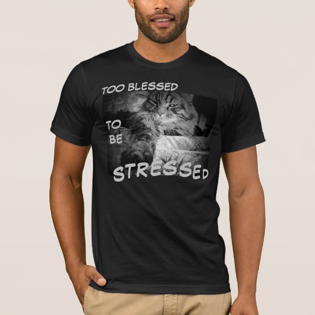 Too Blessed To Be Stressed T-Shirt (Front)