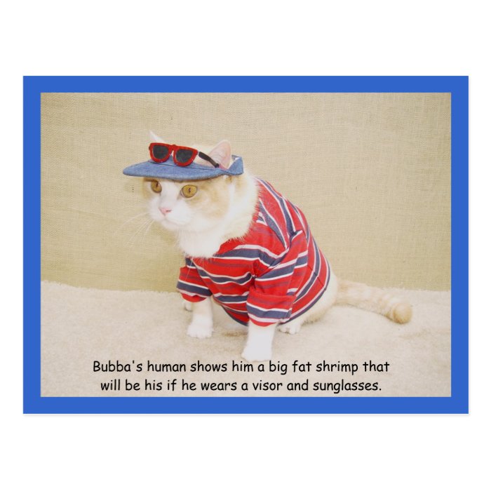 Too Cool Bubba Kitty Post Card