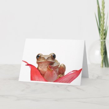 Too Cool Daisy Frog Card by Honeysuckle_Sweet at Zazzle