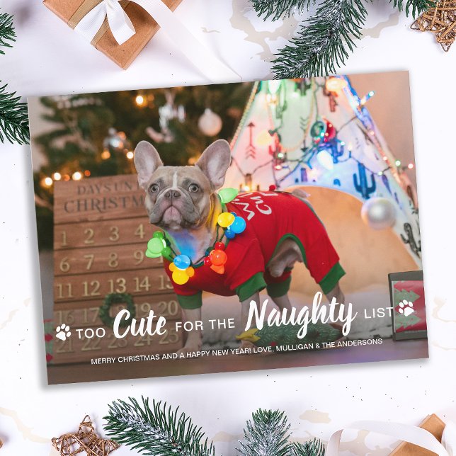 Too Cute For Naughty List Funny Dog Pet Photo Holi Postcard (Creator Uploaded)