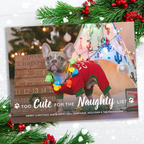 Too Cute For Naughty List Funny Dog Pet Photo Holiday Postcard