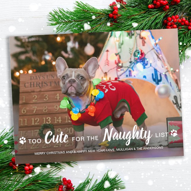 Too Cute For Naughty List Funny Dog Pet Photo Holiday Postcard (Creator Uploaded)