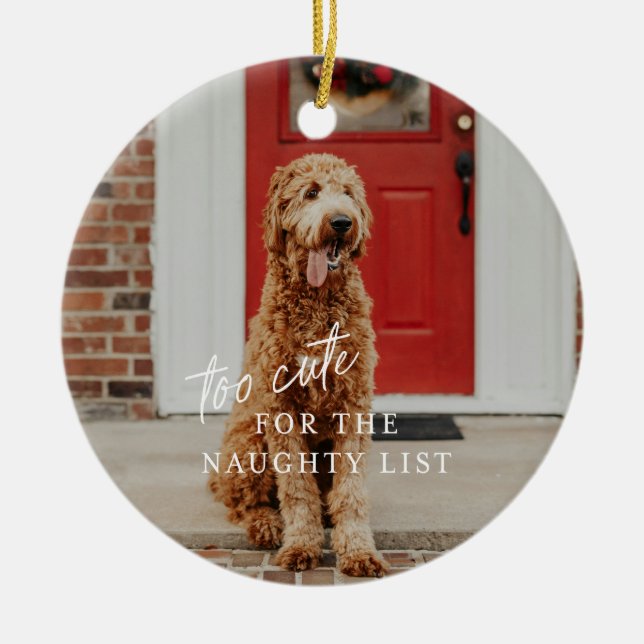 Too Cute for the Naughty List Pet Ornament (Front)