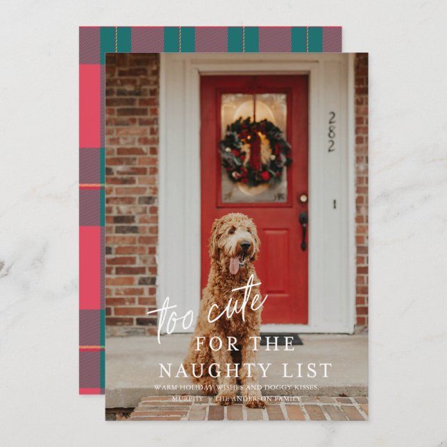 Too Cute for the Naughty List Pet Photo Holiday  Invitation (Front/Back)