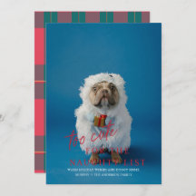Too Cute for the Naughty List Pet Photo Holiday