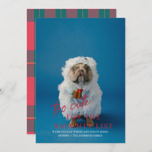 Too Cute for the Naughty List Pet Photo Holiday  Invitation