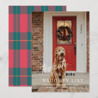 Too Cute for the Naughty List Pet Photo Holiday