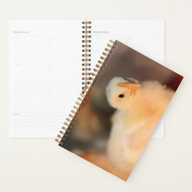 Too cute planner (Display)