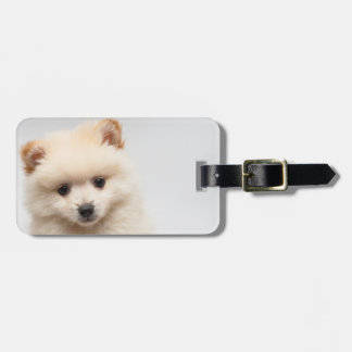 Too Cute Pomeranian Luggage Tag
