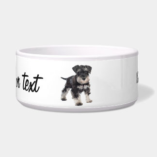 Too Cute Puppy Miniature Schnauzer Dog Bowl