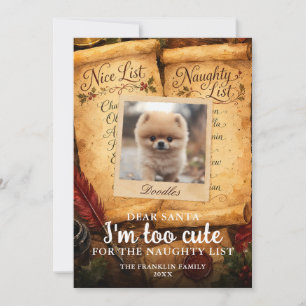 Too Cute Santa Nice Naughty List Pet Photo Fun Holiday Card