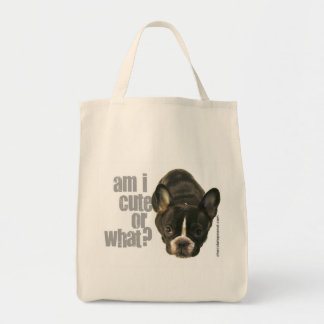 too cute to carry 2 bag