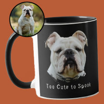 Too Cute to Spook Personalized Halloween Dog Photo