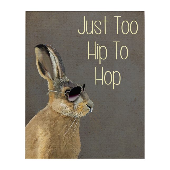 Too Hip To Hop Grey Acrylic Print (Front)