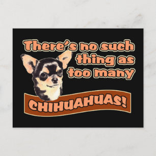 "Too Many Chihuahuas" Postcard