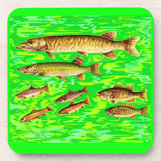 too many fish in the sea beverage coaster (Front)