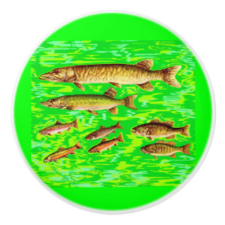 too many fish in the sea ceramic knob