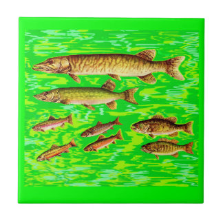 too many fish in the sea ceramic tile