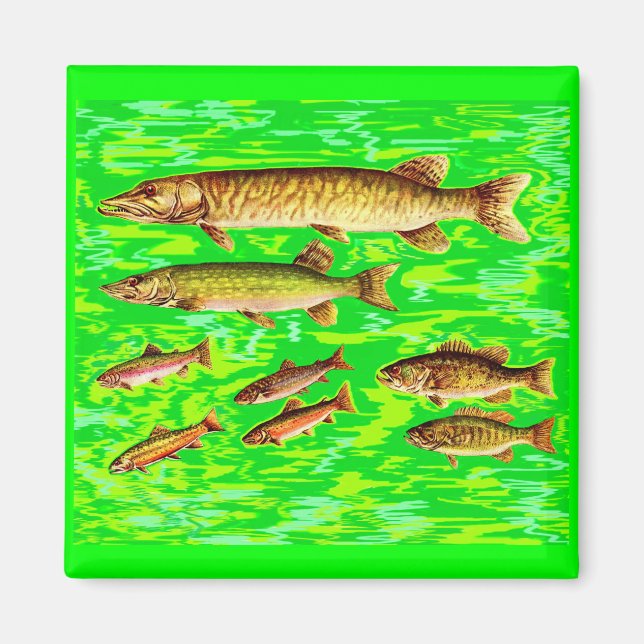 too many fish in the sea magnet (Front)
