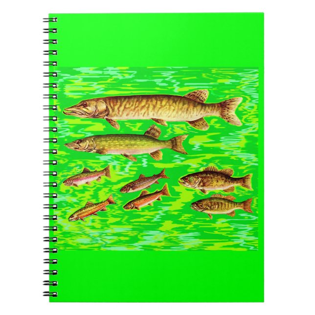 too many fish in the sea notebook (Front)