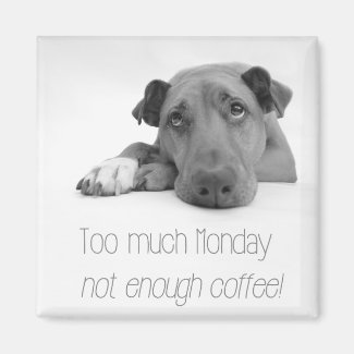 Too much Monday, not enough Coffee - Sleepy Dog