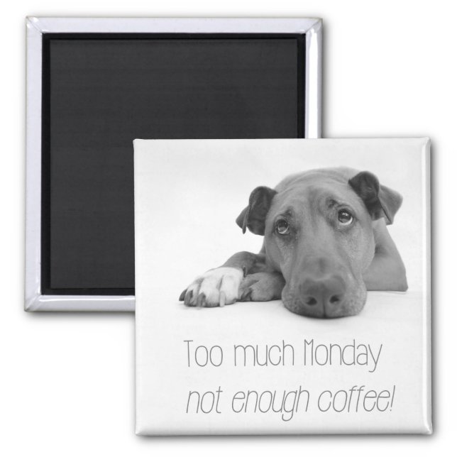 Too much Monday, not enough Coffee - Sleepy Dog Magnet (Front)