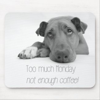 Too much Monday, not enough coffee - Sleepy Dog