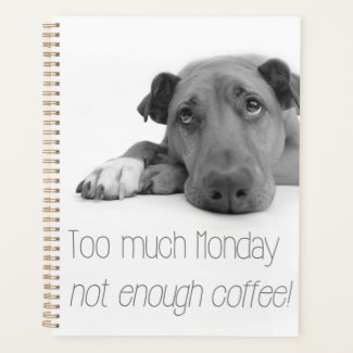 Too much Monday, not enough coffee - Sleepy Dog