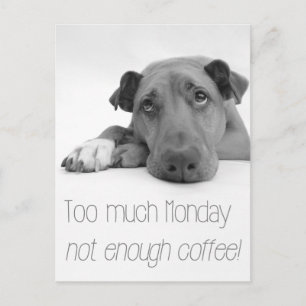 Too much Monday, not enough coffee - Sleepy Dog Postcard