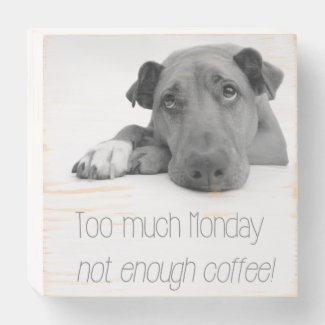 Too much Monday, not enough coffee - Sleepy Dog