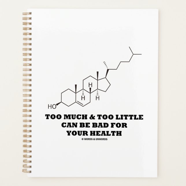 Too Much Too Little Bad For Health Cholesterol Planner (Front)