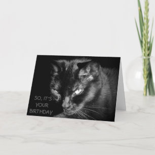 Too Old to Feed The Cat? Card