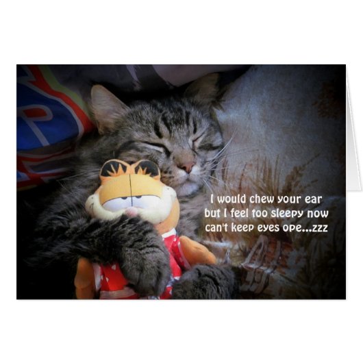 too sleepy haiku (Front Horizontal)