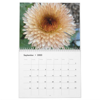 TooleyWoods 2023 Calendar