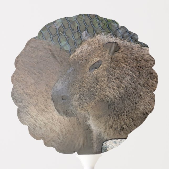 toony Capibarah Balloon (Front)