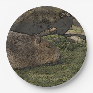 toony capy 2 paper plates