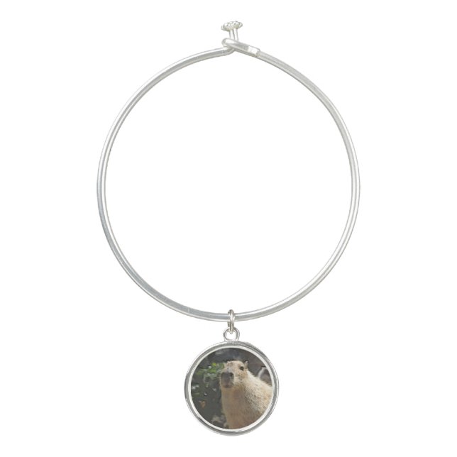 toony capy 3 bangle bracelet (Front)