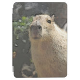 Capa Para iPad Mini Óptica desenho animado de capybara ukulele