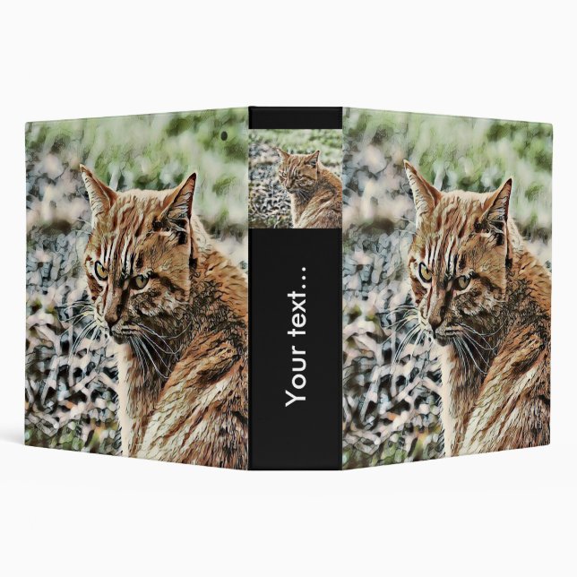 toony cat 3 ring binder (Background)