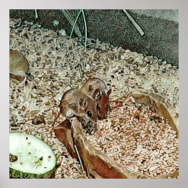 Toony dwarf mice poster (Front)