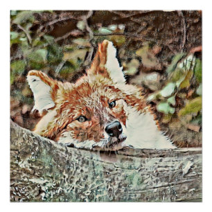 Toony Fox Poster