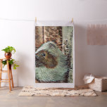 toony guinea pig fabric