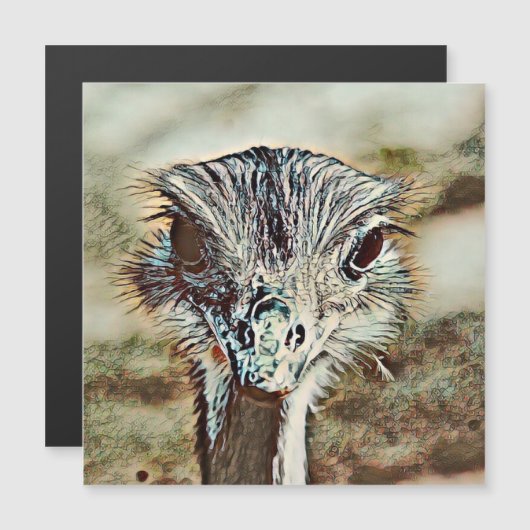 toony ostrich (Front/Back)